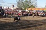 Fiestas del Rincón '13