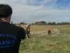 1-63532544-836403347-60980610-1334082335