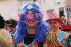 Carnaval de Torrejoncillo 2013