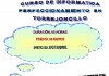 cartel_informatica_perfeccionamiento_1s_2014