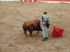www.torrejoncillotodonoticias.com_emilio_de_justo_previo_2010_0039