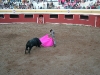 www.torrejoncillotodonoticias.com_emilio_de_justo_previo_2010_0054