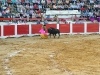 www.torrejoncillotodonoticias.com_emilio_de_justo_previo_2010_0061