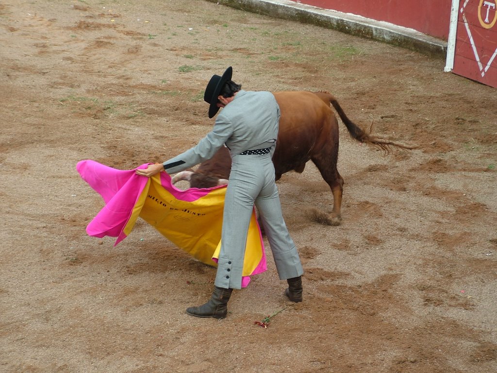 www.torrejoncillotodonoticias.com_emilio_de_justo_previo_2010_0013
