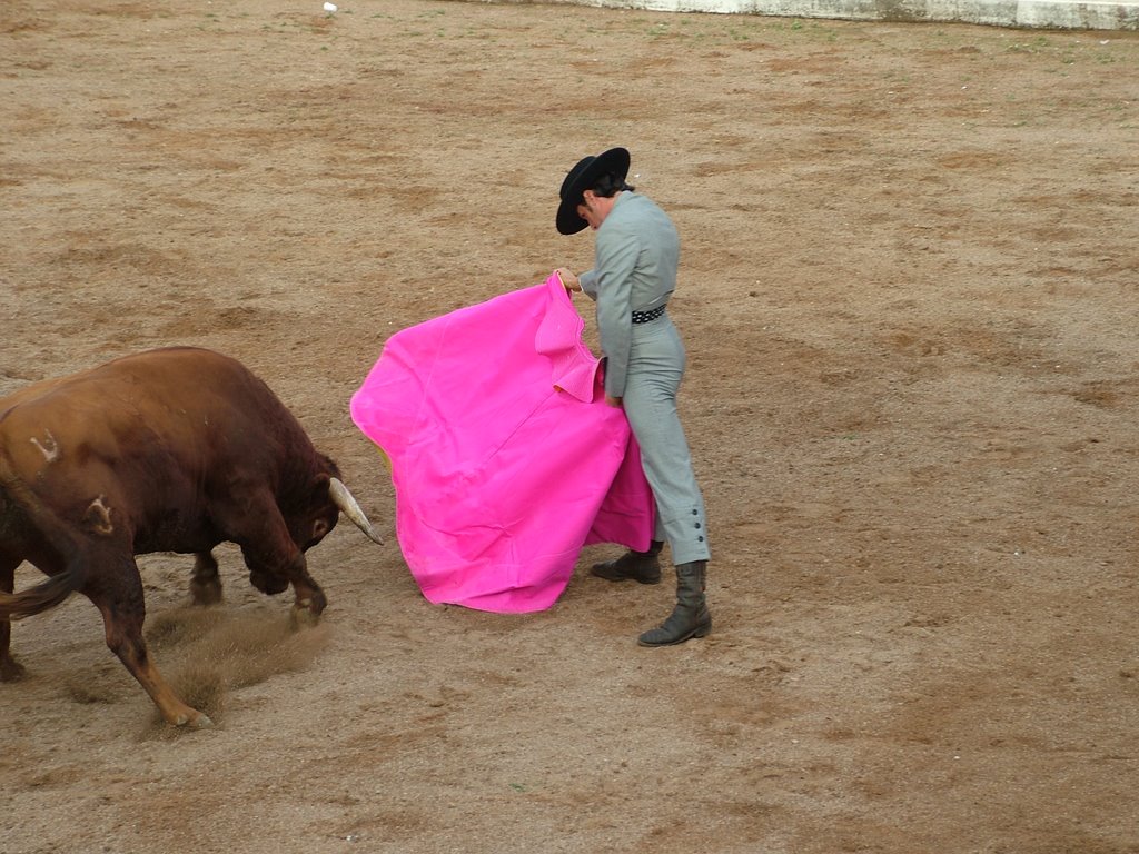 www.torrejoncillotodonoticias.com_emilio_de_justo_previo_2010_0015