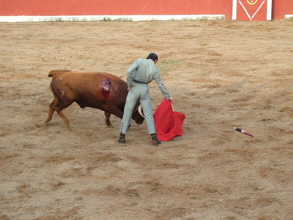 www.torrejoncillotodonoticias.com_emilio_de_justo_previo_2010_0023