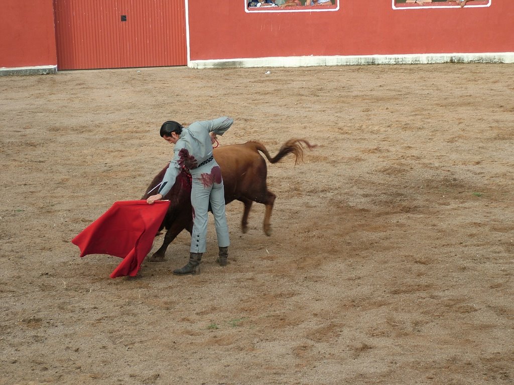 www.torrejoncillotodonoticias.com_emilio_de_justo_previo_2010_0024