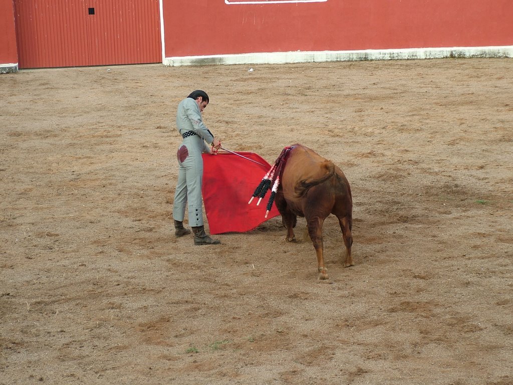 www.torrejoncillotodonoticias.com_emilio_de_justo_previo_2010_0026