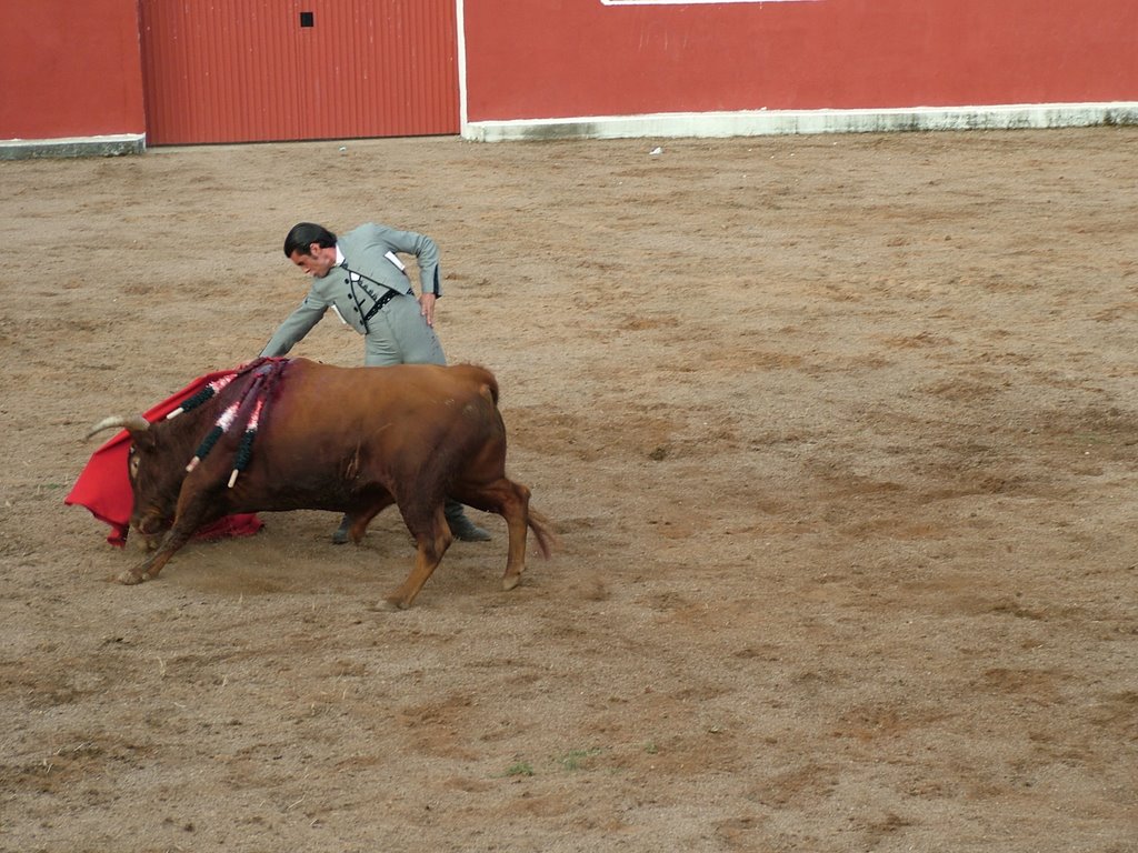 www.torrejoncillotodonoticias.com_emilio_de_justo_previo_2010_0027