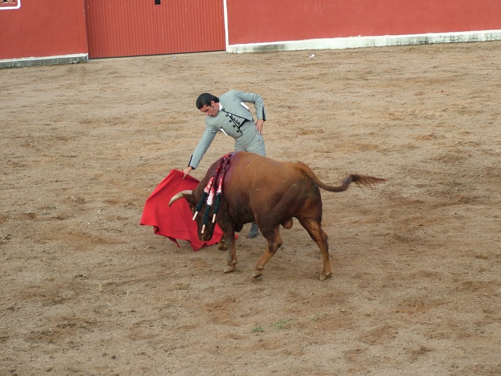 www.torrejoncillotodonoticias.com_emilio_de_justo_previo_2010_0028