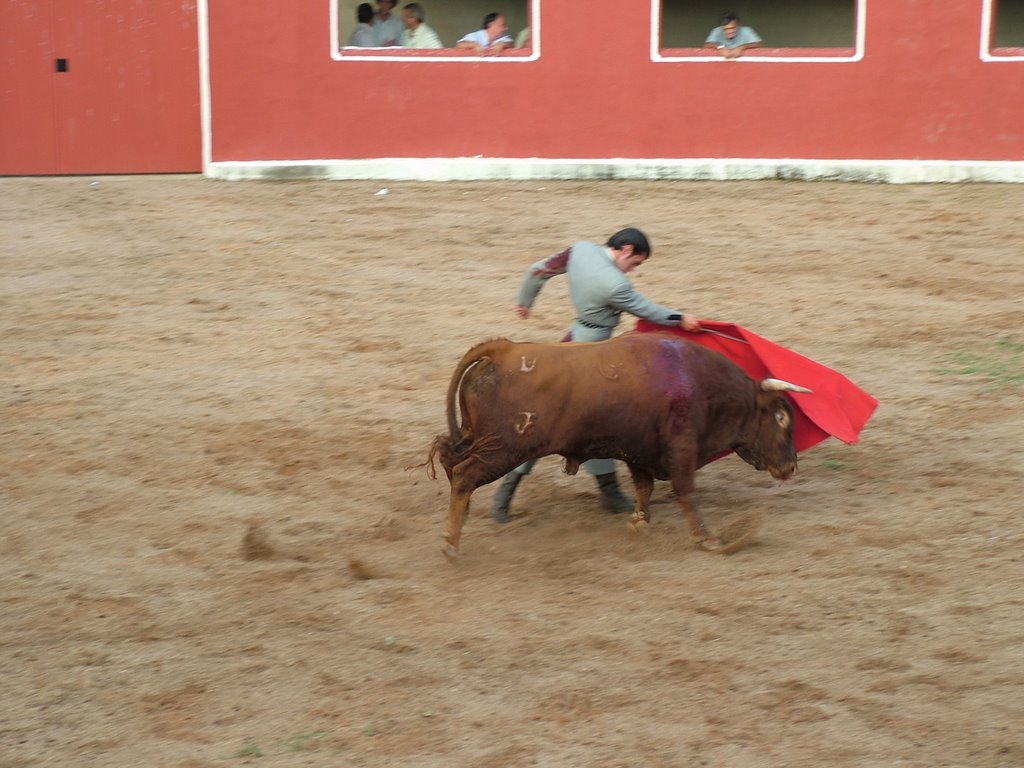 www.torrejoncillotodonoticias.com_emilio_de_justo_previo_2010_0029