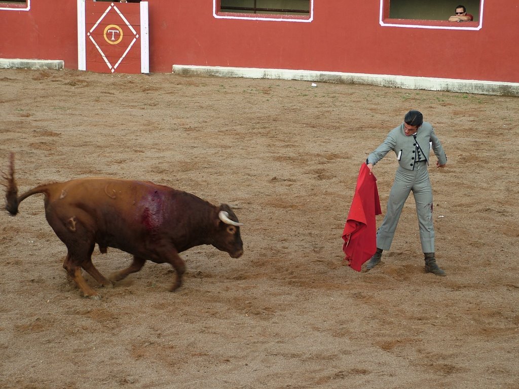 www.torrejoncillotodonoticias.com_emilio_de_justo_previo_2010_0030