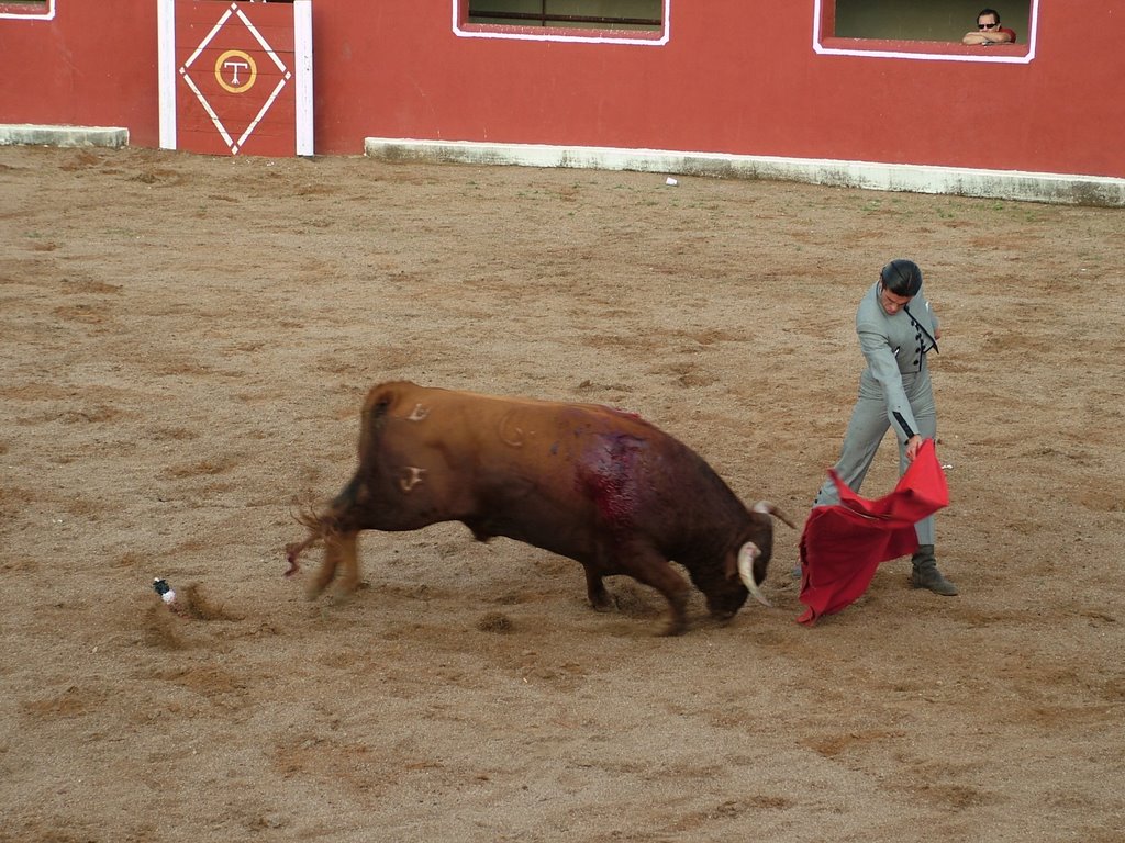 www.torrejoncillotodonoticias.com_emilio_de_justo_previo_2010_0031