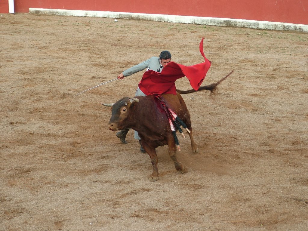 www.torrejoncillotodonoticias.com_emilio_de_justo_previo_2010_0035