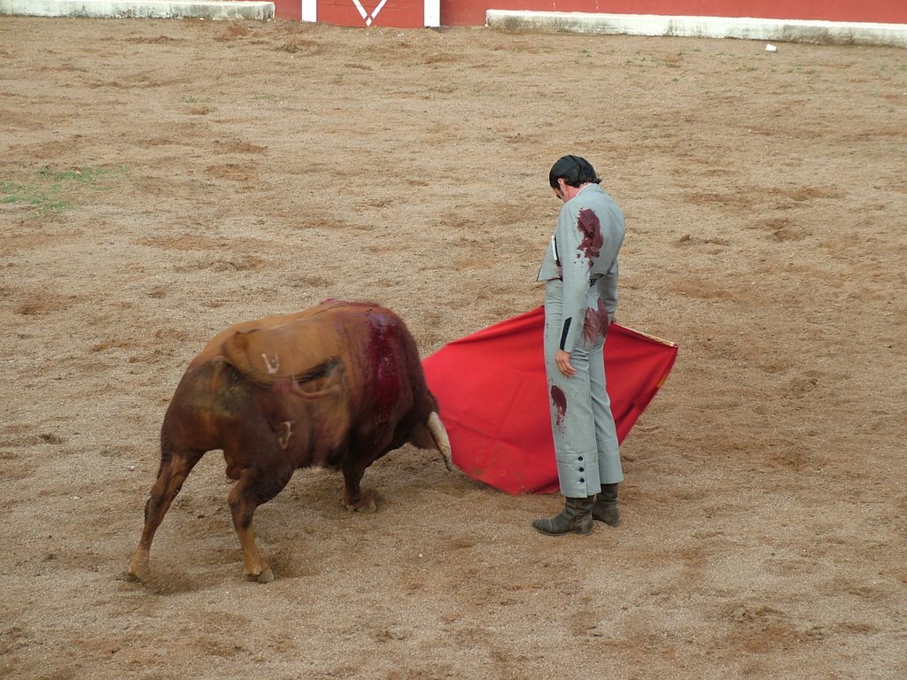 www.torrejoncillotodonoticias.com_emilio_de_justo_previo_2010_0038