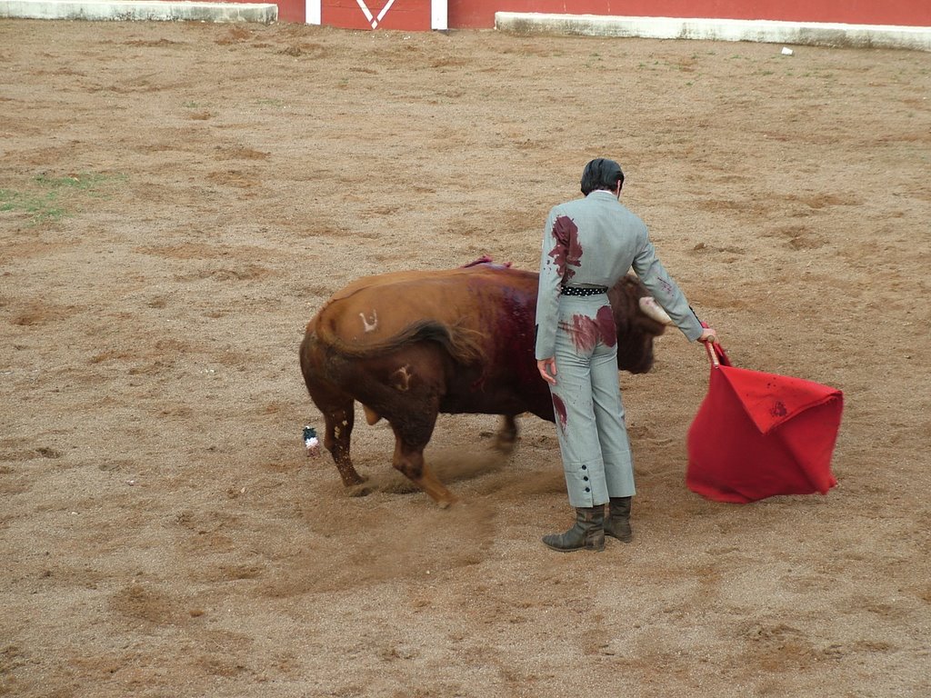 www.torrejoncillotodonoticias.com_emilio_de_justo_previo_2010_0039