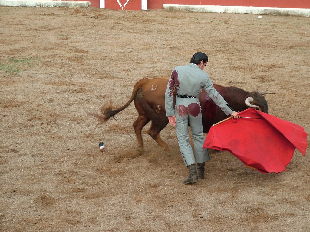www.torrejoncillotodonoticias.com_emilio_de_justo_previo_2010_0040