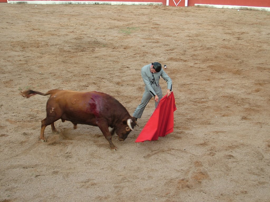 www.torrejoncillotodonoticias.com_emilio_de_justo_previo_2010_0041