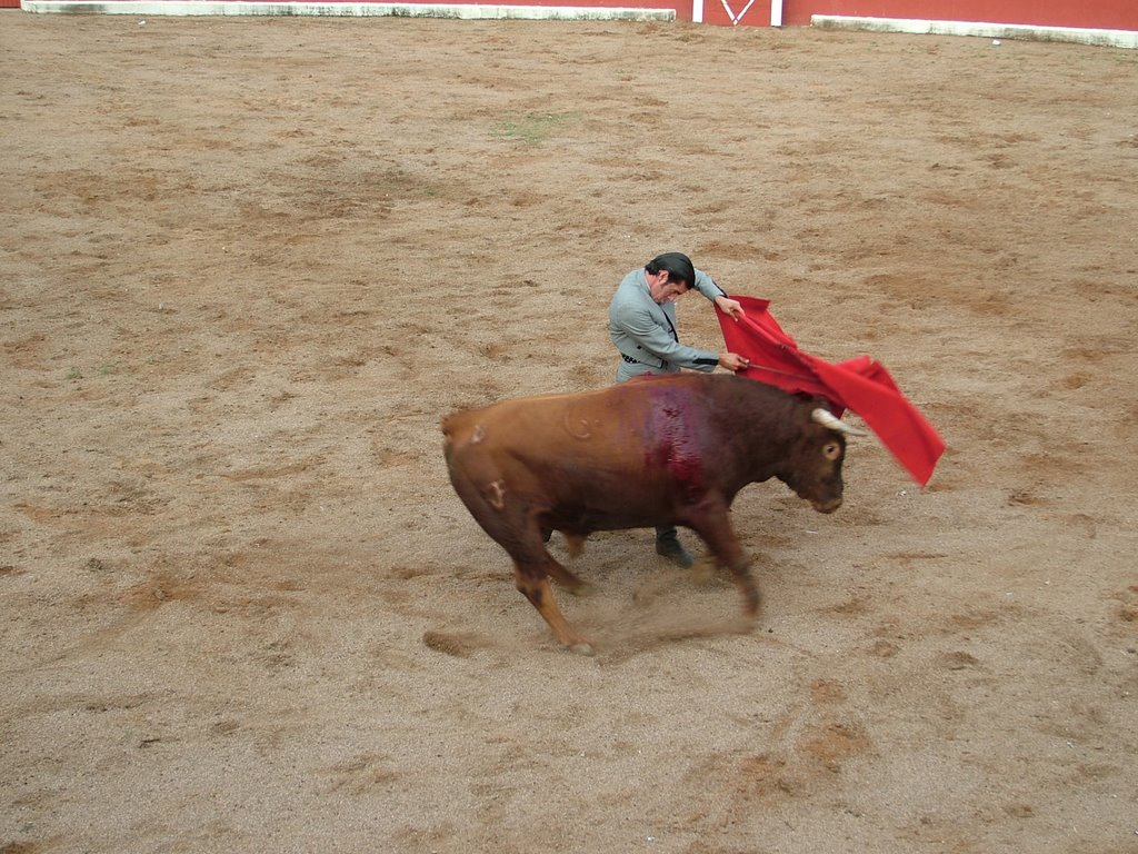 www.torrejoncillotodonoticias.com_emilio_de_justo_previo_2010_0042