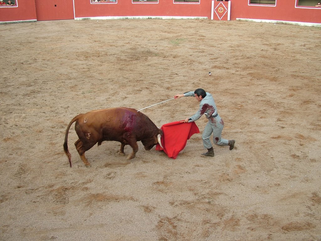 www.torrejoncillotodonoticias.com_emilio_de_justo_previo_2010_0046