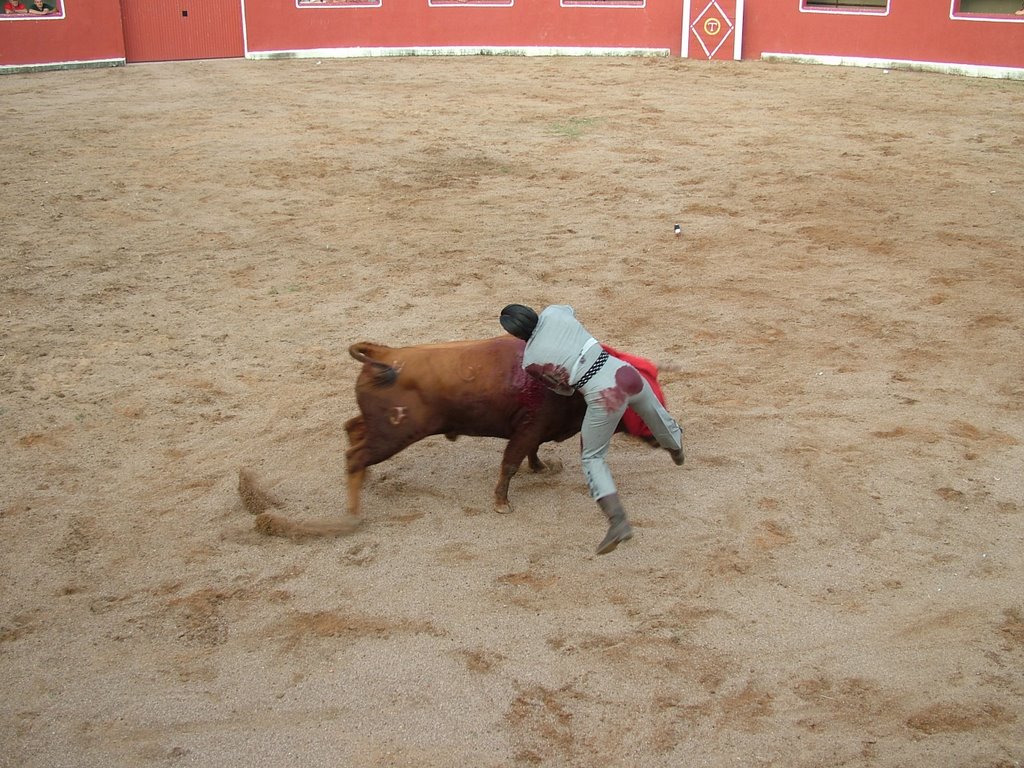 www.torrejoncillotodonoticias.com_emilio_de_justo_previo_2010_0047