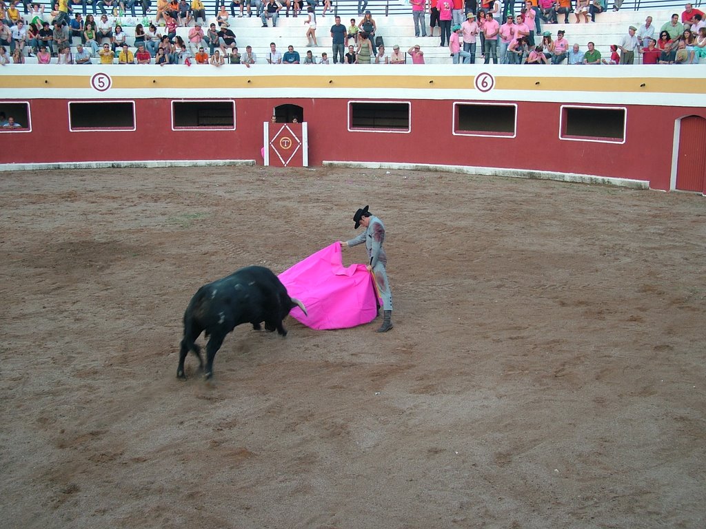 www.torrejoncillotodonoticias.com_emilio_de_justo_previo_2010_0054