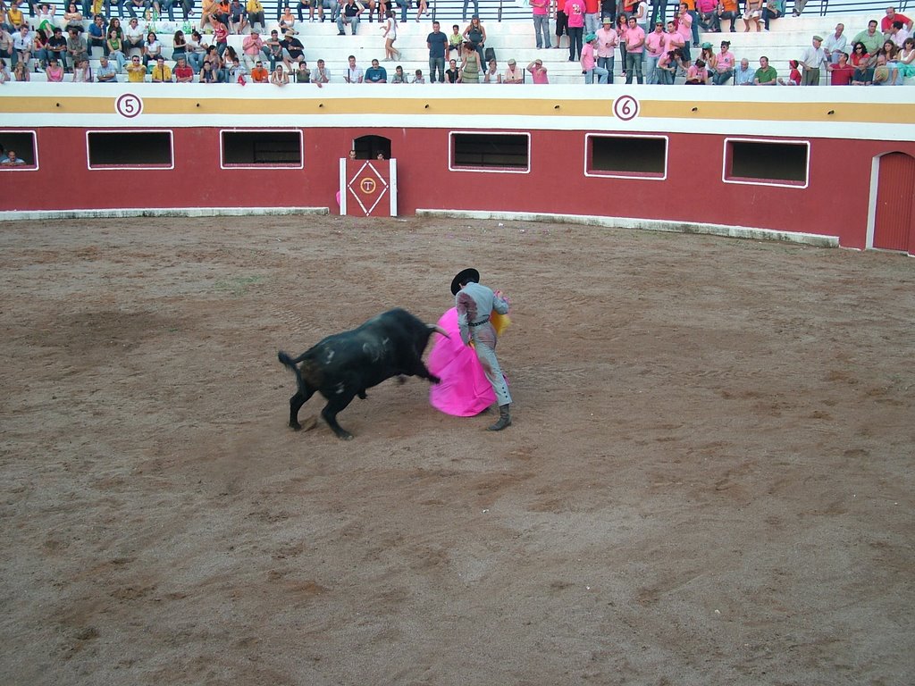 www.torrejoncillotodonoticias.com_emilio_de_justo_previo_2010_0055