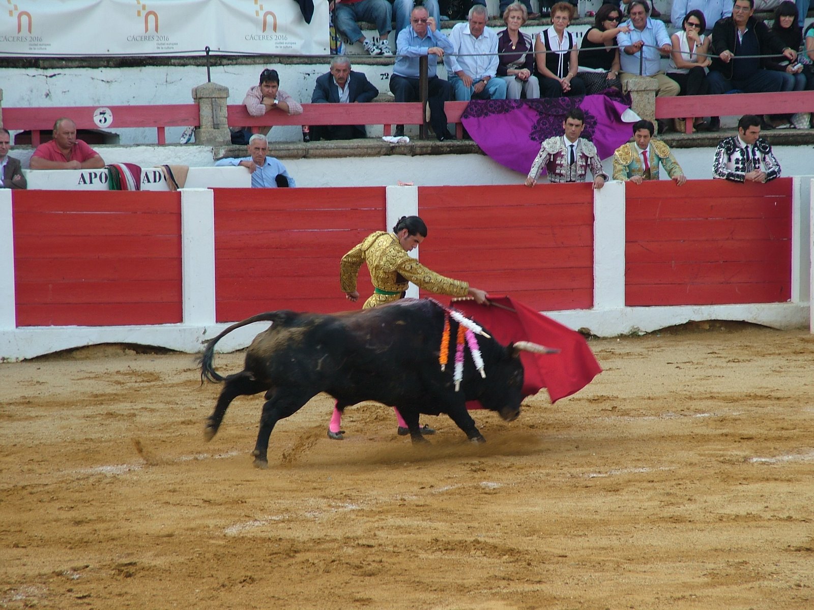 www.torrejoncillotodonoticias.com_emilio_de_justo_previo_2010_0064