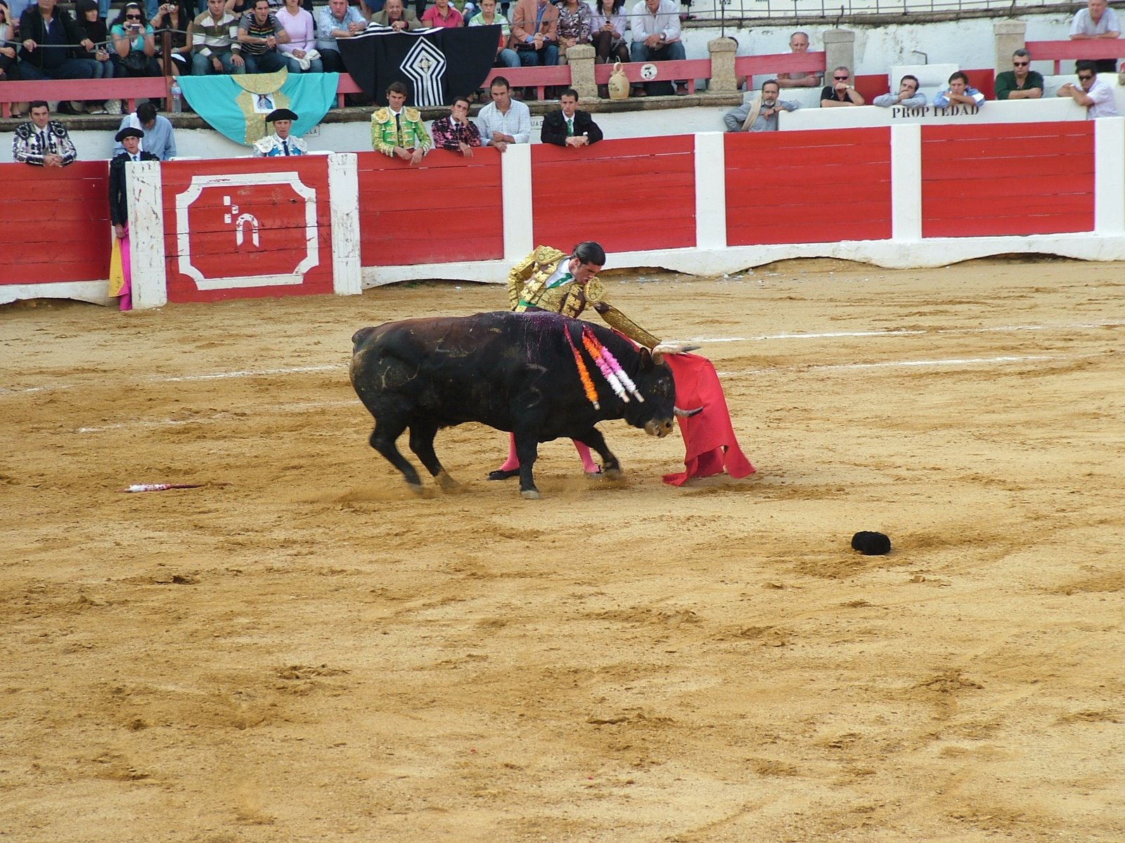 www.torrejoncillotodonoticias.com_emilio_de_justo_previo_2010_0069