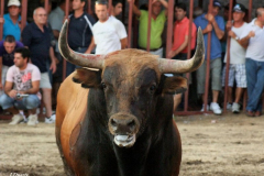 Fiestas de Valdencín 2011