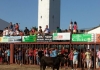 2011_07220014 (1)