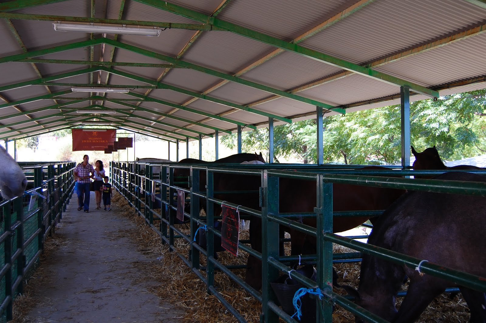 www.torrejoncillotodonoticias.com_xiv_feria_del_caballo_y_la_artesania_de_torrejoncillo_-_2010_0026