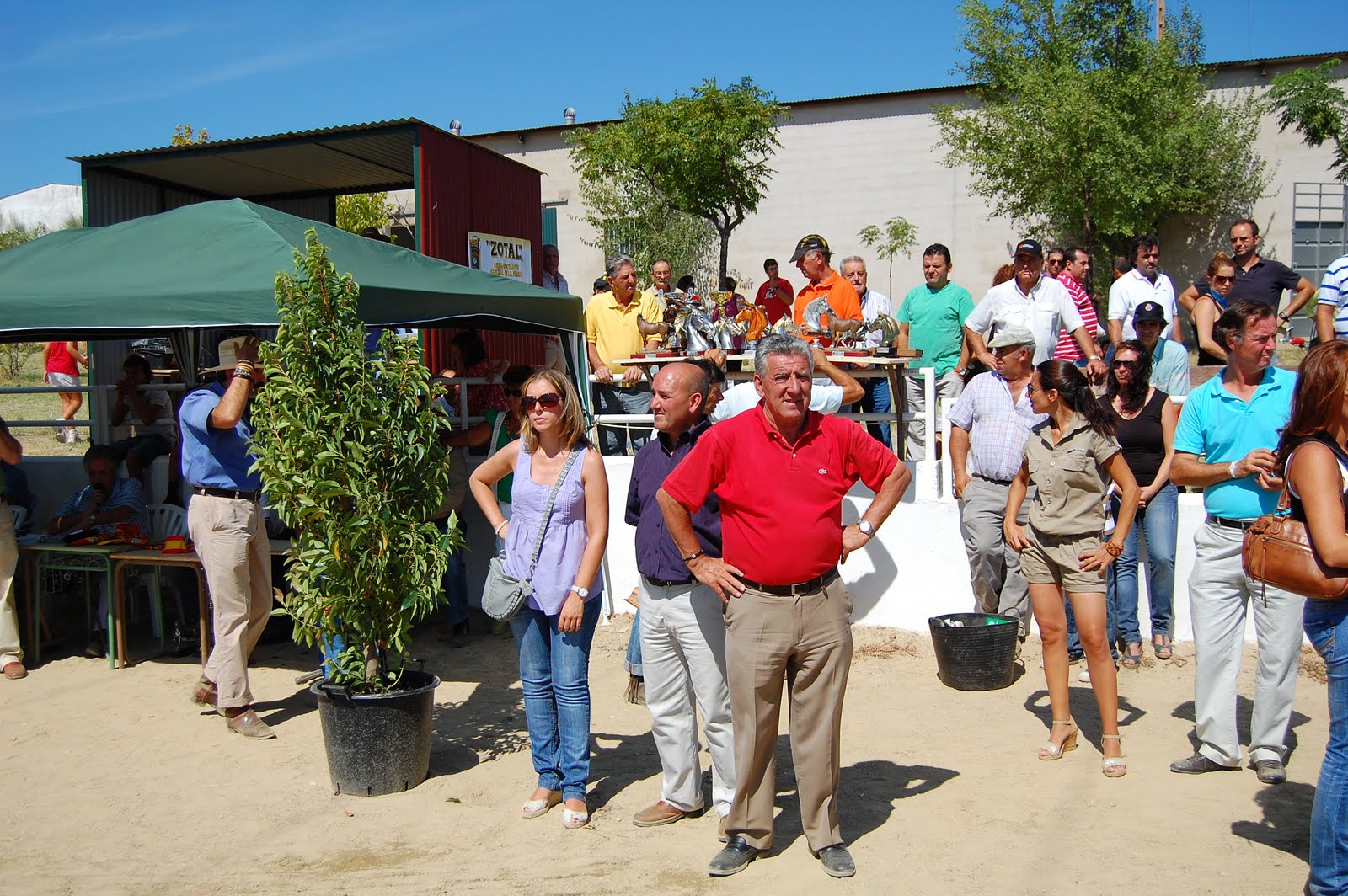 www.torrejoncillotodonoticias.com_xiv_feria_del_caballo_y_la_artesania_de_torrejoncillo_-_2010_0031