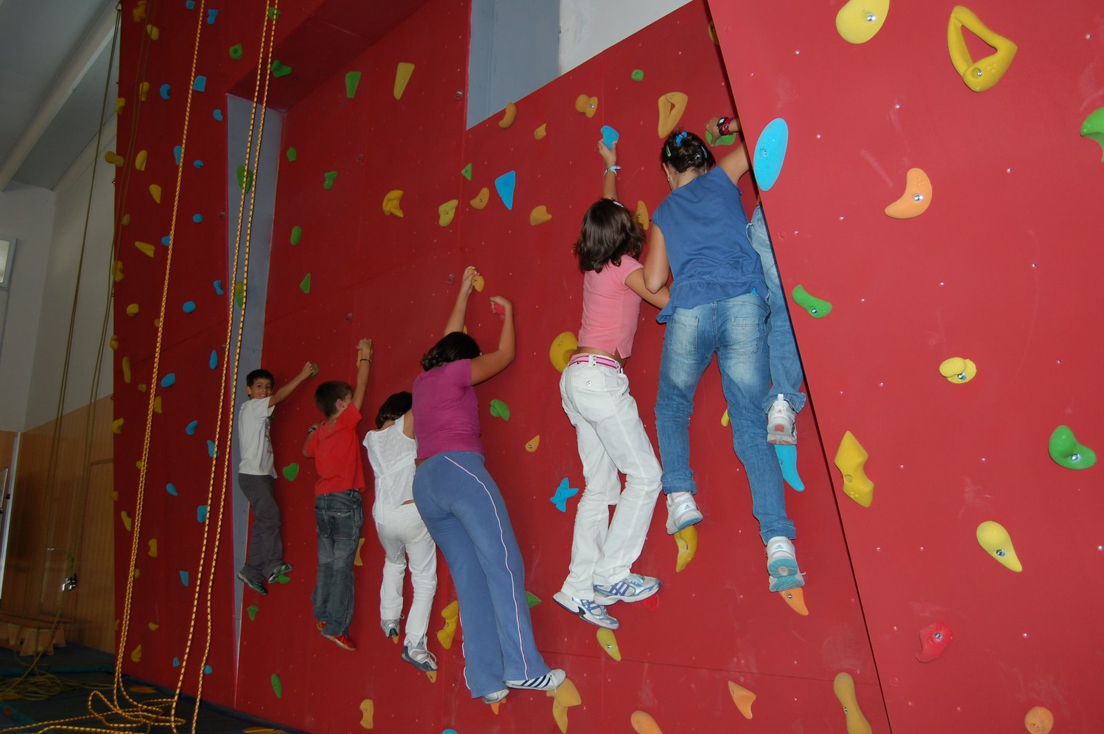 www.torrejoncillotodonoticias.com_inauguracion_rocodromo_ieso_via_dalmacia_torrejoncillo_-_2009_0002