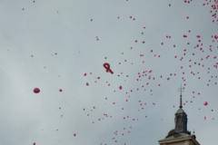 marcha contra el cancer