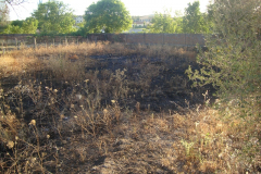 Pequeño Incendio en Torrejoncillo