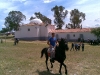 www.torrejoncillotodonoticias.com_romeria_-_2009_0066