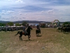 www.torrejoncillotodonoticias.com_romeria_-_2009_0067