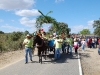 www.torrejoncillotodonoticias.com_romeria_de_torrejoncillo_a_san_pedro-_2009_0001