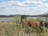 www.torrejoncillotodonoticias.com_romeria_de_torrejoncillo_a_san_pedro-_2009_0017