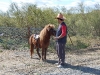 www.torrejoncillotodonoticias.com_romeria_de_torrejoncillo_a_san_pedro-_2009_0026