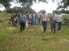 romeria-2011-260