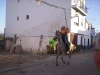 www.torrejoncillotodonoticias.com_romeria_-_2008_0018