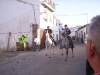 www.torrejoncillotodonoticias.com_romeria_-_2008_0019