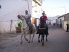 www.torrejoncillotodonoticias.com_romeria_-_2008_0022