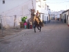 www.torrejoncillotodonoticias.com_romeria_-_2008_0023