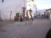 www.torrejoncillotodonoticias.com_romeria_-_2008_0024