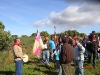 www.torrejoncillotodonoticias.com_romeria_-_2008_0050