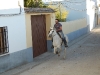 www.torrejoncillotodonoticias.com_romeria_chica_-_2009_0029