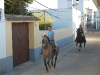 www.torrejoncillotodonoticias.com_romeria_chica_-_2009_0038